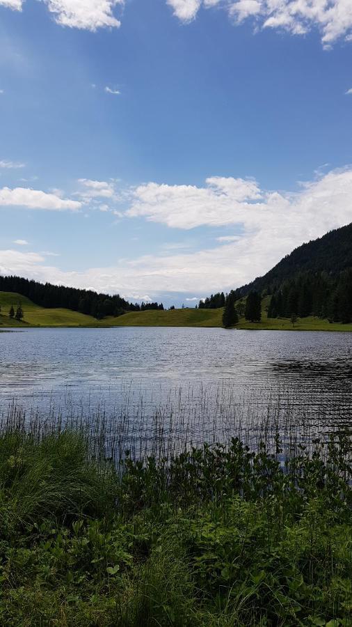 Tauglerei Appartement Bernstein In Den Zauberbergen Sankt Koloman Екстериор снимка