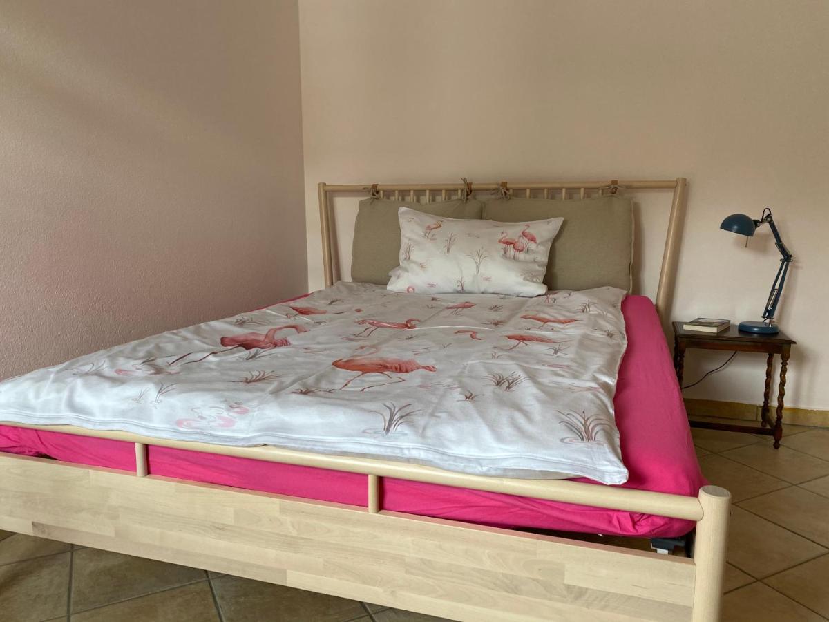Tauglerei Appartement Bernstein In Den Zauberbergen Sankt Koloman Екстериор снимка