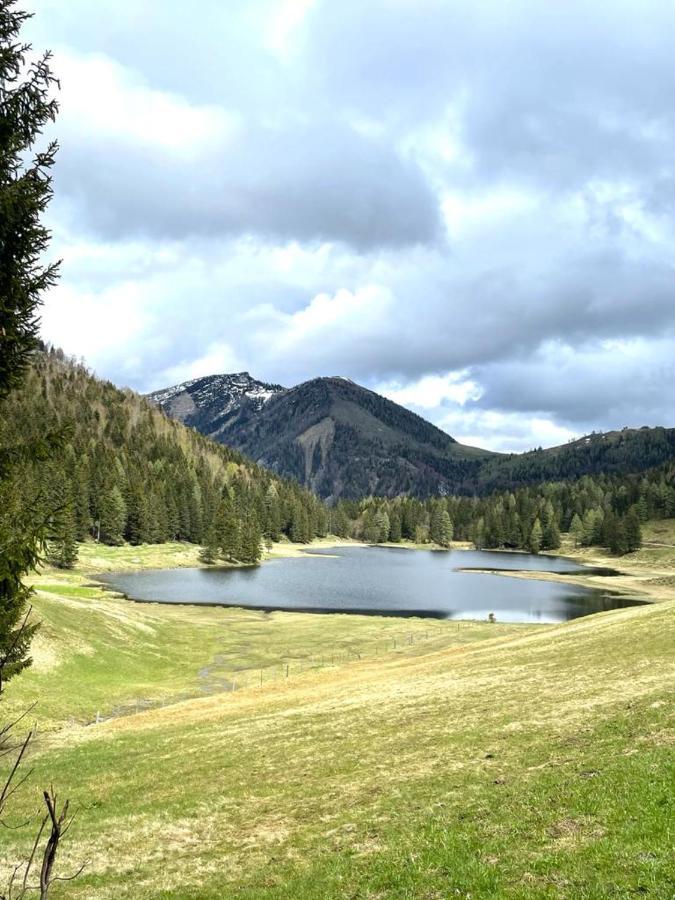 Tauglerei Appartement Bernstein In Den Zauberbergen Sankt Koloman Екстериор снимка